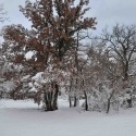 CAUSSE HIVERNAL  2010 - 2015