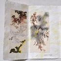 DSC 0045, 110*70